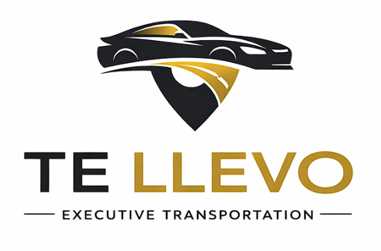 Te Llevo Logo
